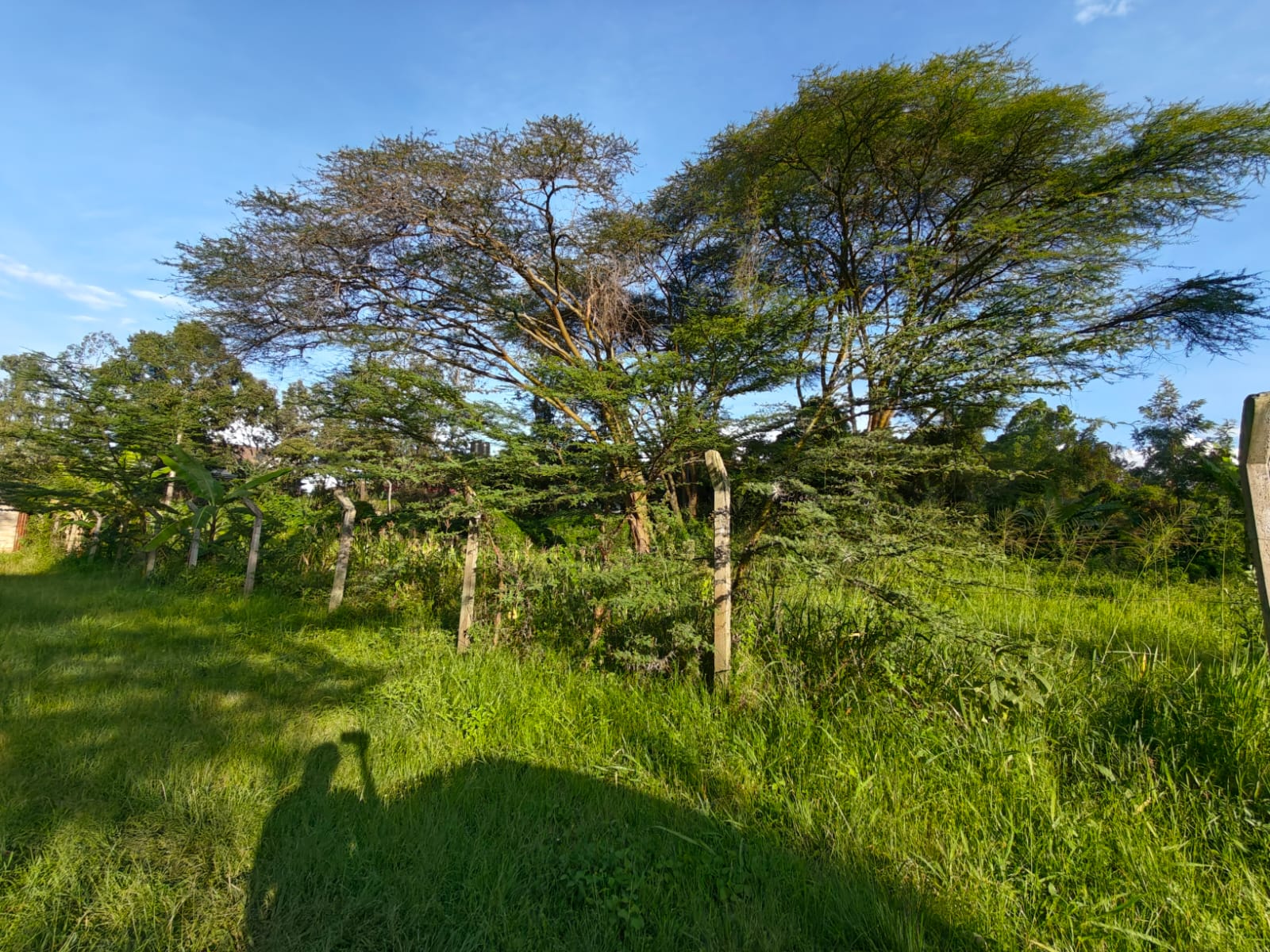 Modern 4 Bedroom Villa for Rent in Runda – Near UN | Luxury Living Off Kiambu Road
