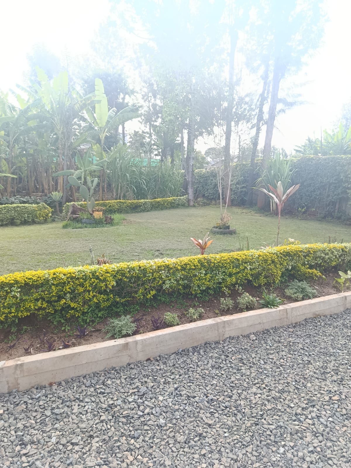 Spacious 5 Bedroom House for Rent in Thome Estate
