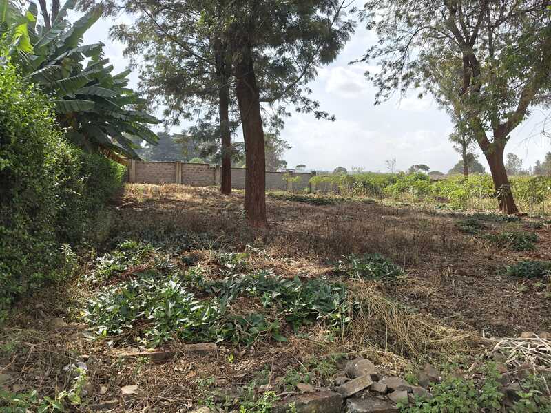 Quarter Acre Land for Sale in Runda Mhasibu 
