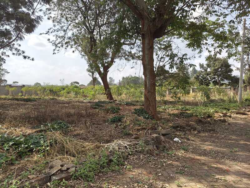 Quarter Acre Land for Sale in Runda Mhasibu 