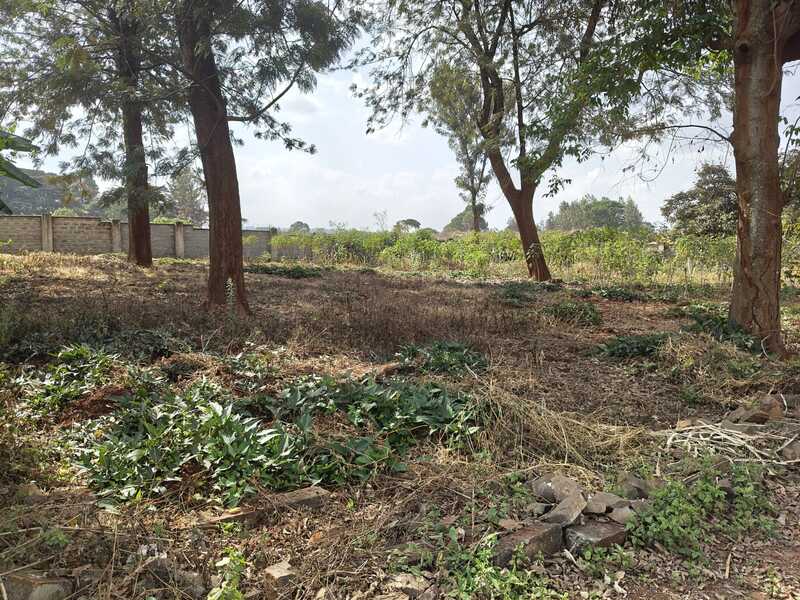 Quarter Acre Land for Sale in Runda Mhasibu 