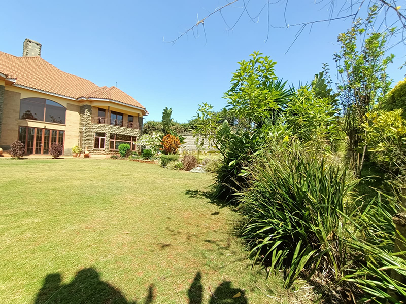 5 Luxurious 4-Bedroom Townhomes in Runda