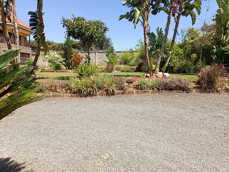 5 Luxurious 4-Bedroom Townhomes in Runda