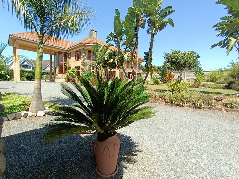 5 Luxurious 4-Bedroom Townhomes in Runda