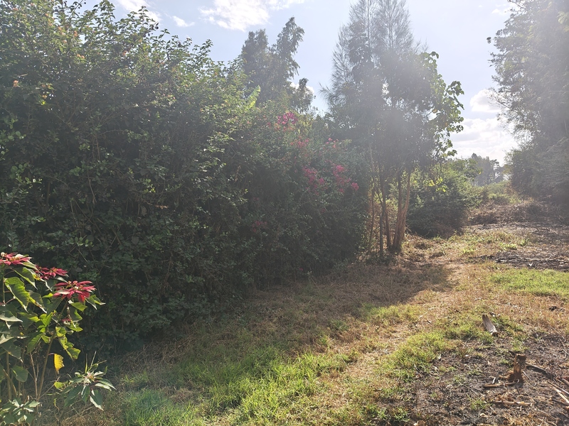 Quarter Acre Land for Sale off Kiambu Road, Gated Estate