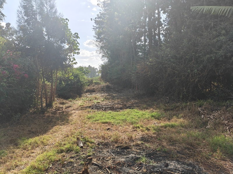 Quarter Acre Land for Sale off Kiambu Road, Gated Estate