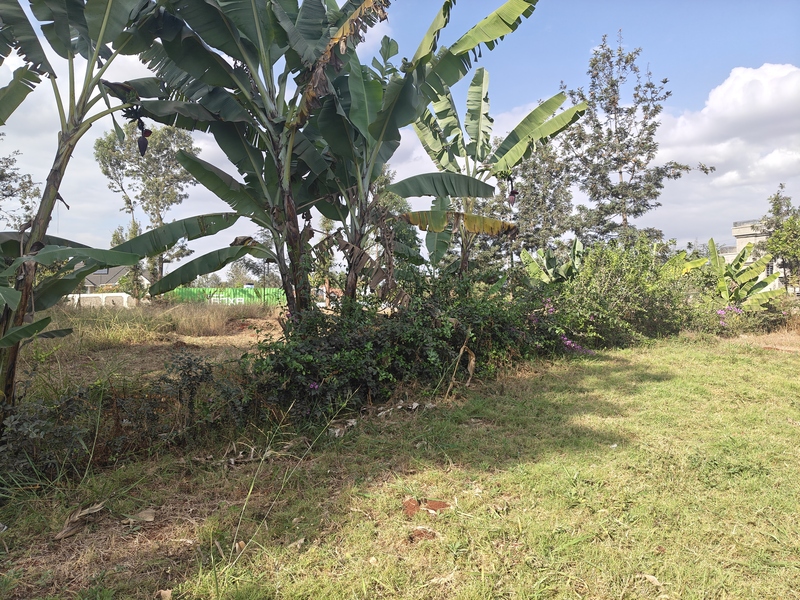 Quarter Acre Land for Sale off Kiambu Road, Gated Estate