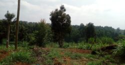 Prime Half Acre Land for Sale along Njathaini Road off Kiambu Road