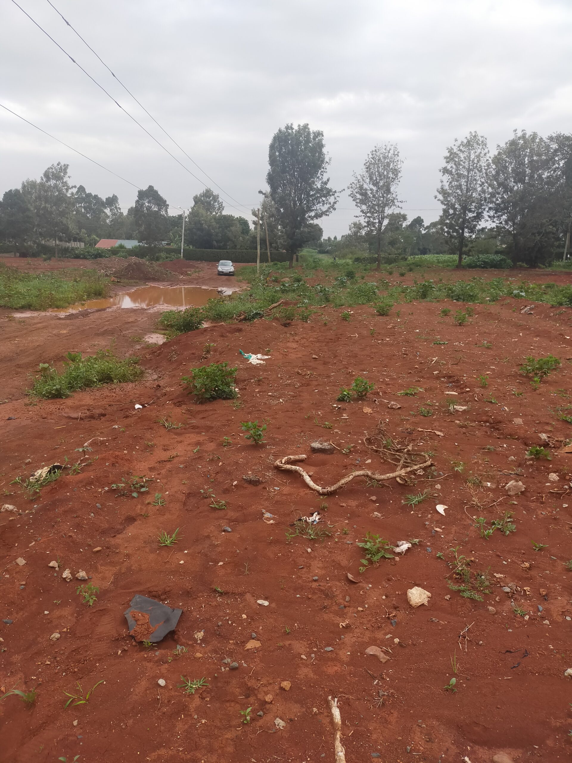 Eighth (50×100) Acre plots for Sale in Wangige, Riverside