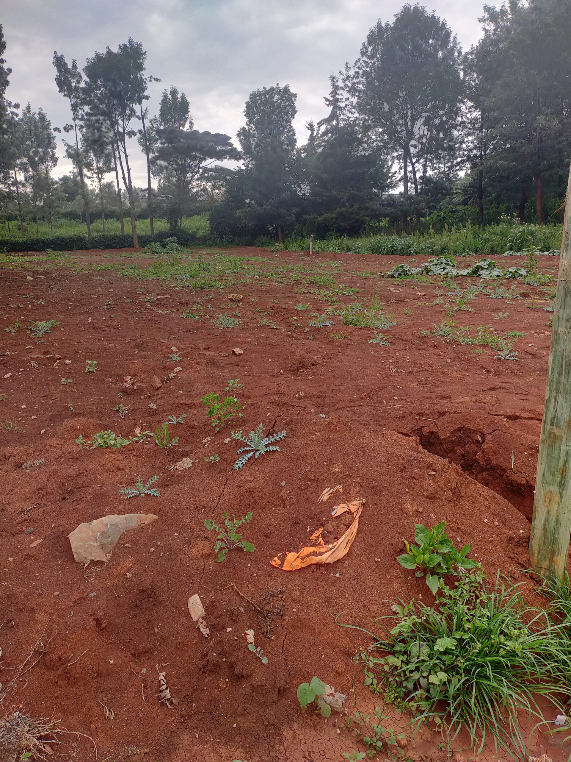 Eighth (50×100) Acre plots for Sale in Wangige, Riverside