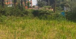 Prime 3 Acre Land for Sale in Kikuyu (Ideal for Development)