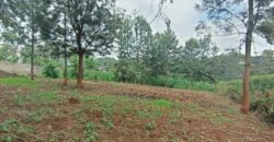 Eighth Acre Plot for Sale in Kiambu, Ndumberi