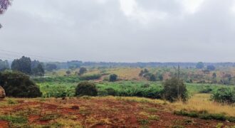 1 Acre land for Sale in Runda Paradise Lost Ideal for Development