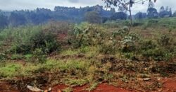 1 Acre land for Sale in Runda Paradise Lost Ideal for Development